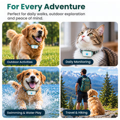 AL600 4G Smart GPS Pet Tracker – Real-Time Tracking, Geofencing & Activity Monitoring