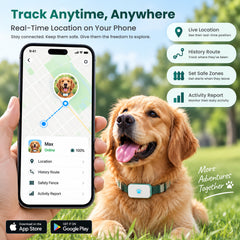 AL600 4G Smart GPS Pet Tracker – Real-Time Tracking, Geofencing & Activity Monitoring